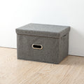 DS BS Collapsible Storage Bins with Lids and Handles-L