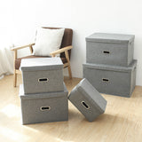 DS BS Collapsible Storage Bins with Lids and Handles-M