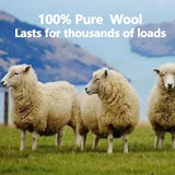 DS BS 6-Pack 7CM NZ Wool Dryer Balls