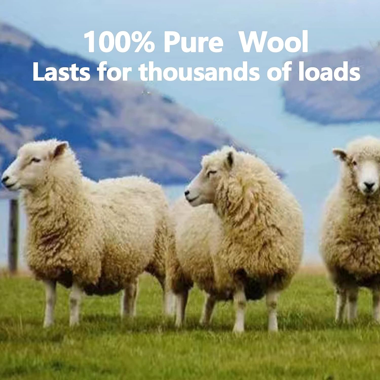 DS BS 6-Pack 7CM NZ Wool Dryer Balls