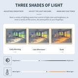 DS BS Lighting Painting Decoration 3 Colors-Dog In the Sun