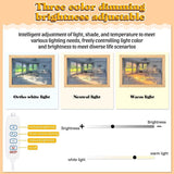 DS BS Lighting Painting Decoration 3 Colors- Room