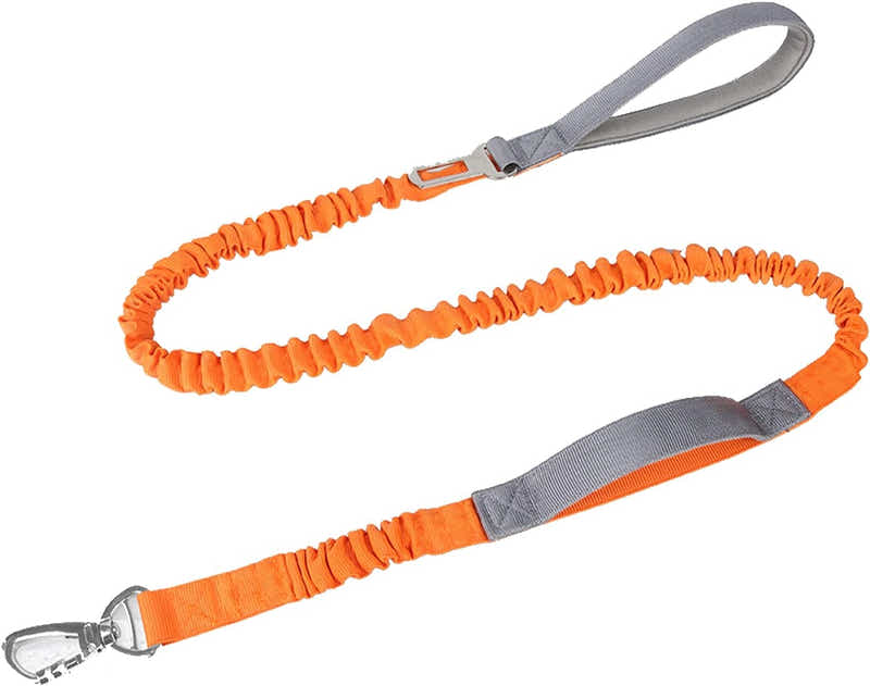 DS BS 2 in 1 Dog Bungee Leash & Car Seatbelt-Orange