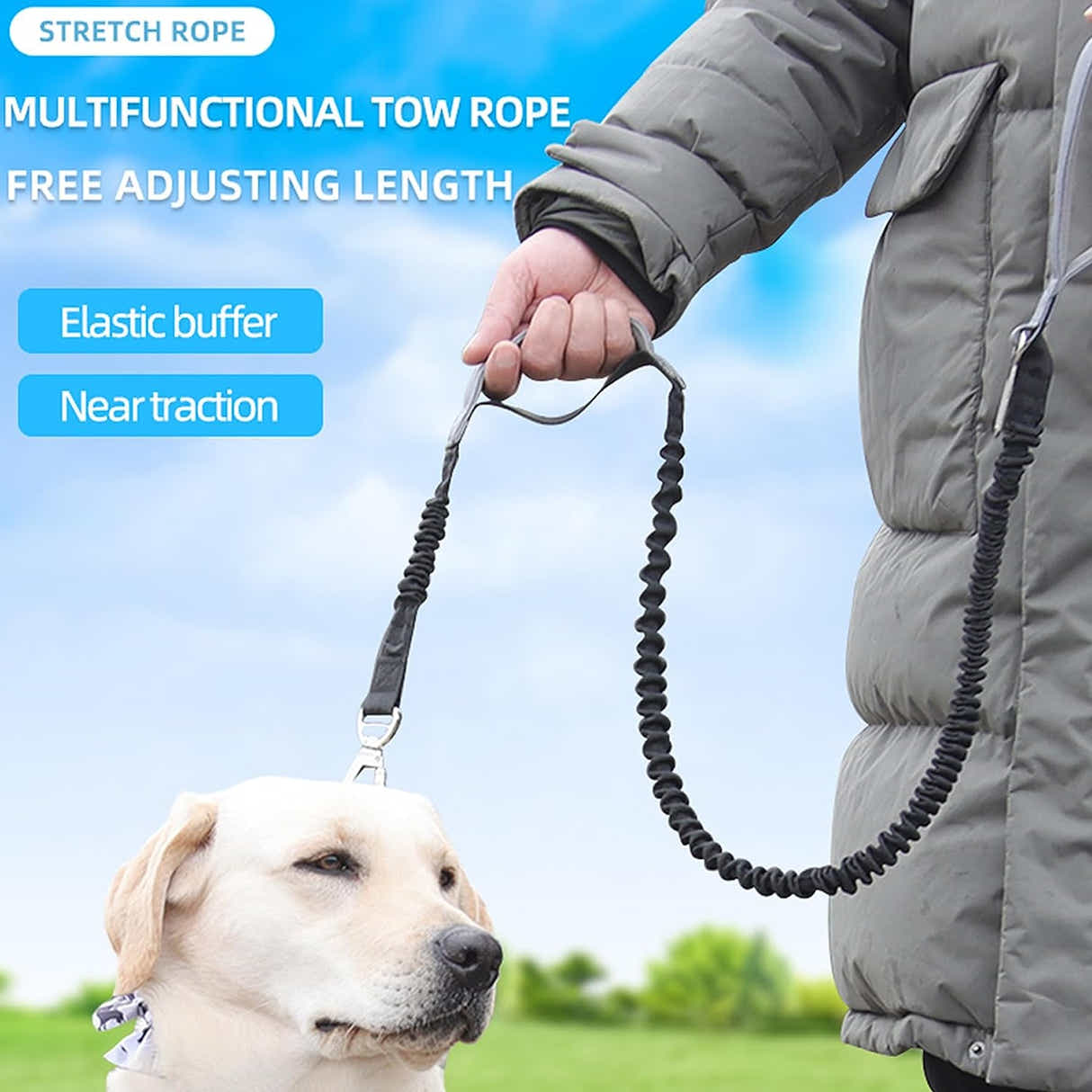 DS BS 2 in 1 Dog Bungee Leash & Car Seatbelt-Black