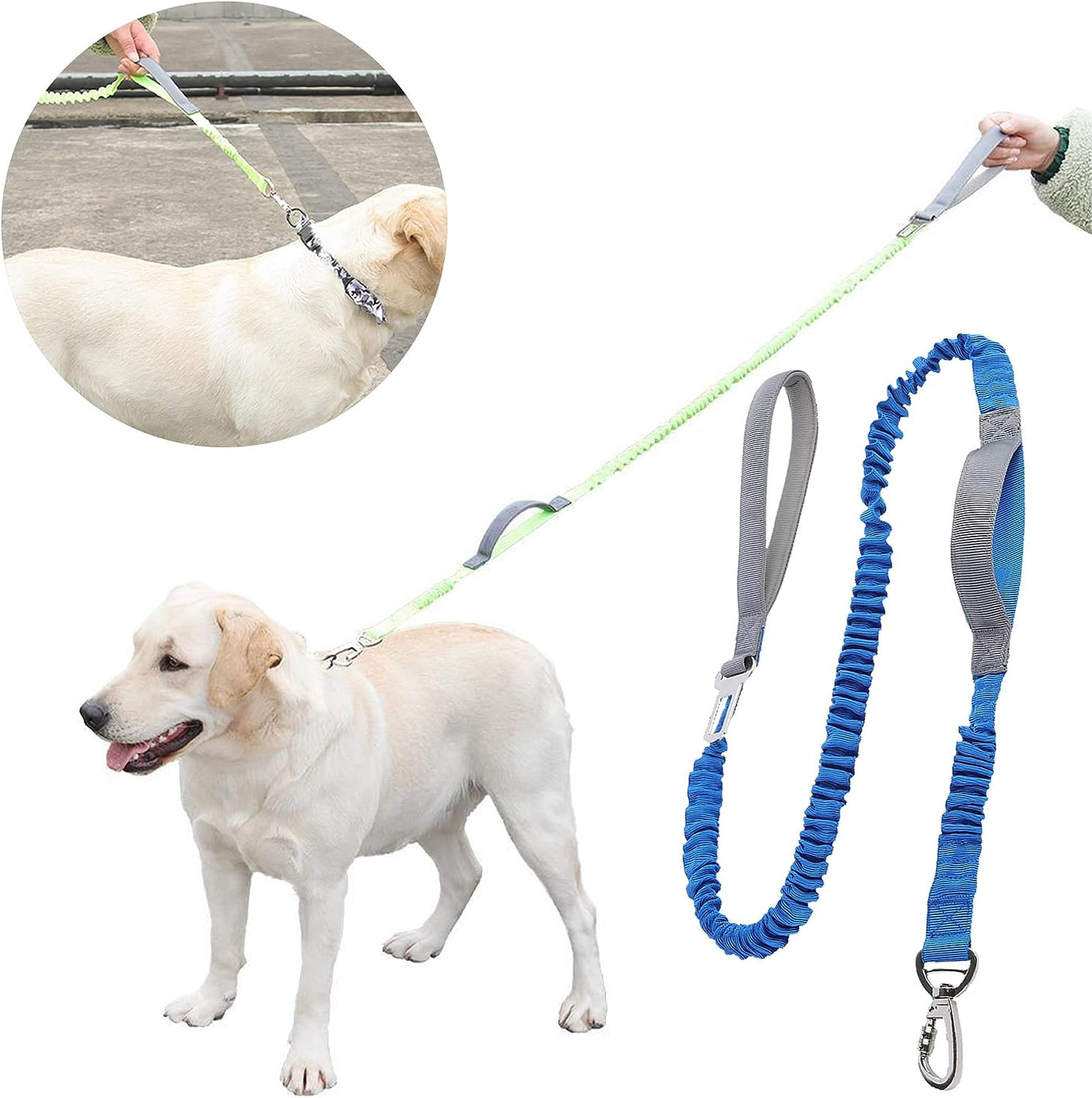 DS BS 2 in 1 Dog Bungee Leash & Car Seatbelt-Blue