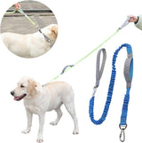 DS BS 2 in 1 Dog Bungee Leash & Car Seatbelt-Blue