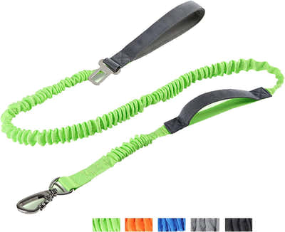 DS BS 2 in 1 Dog Bungee Leash & Car Seatbelt-Green