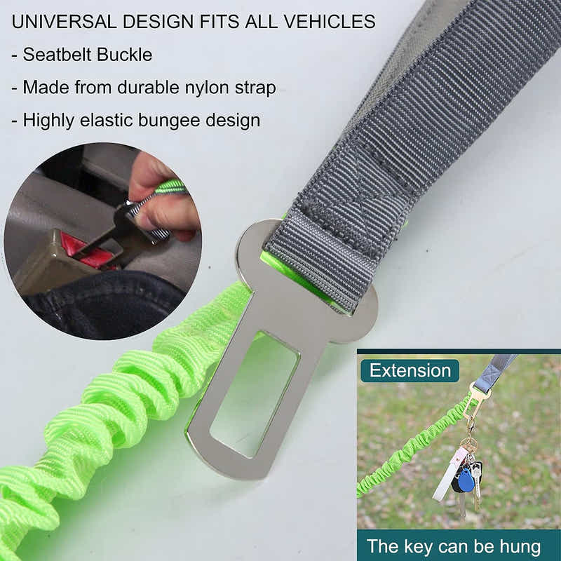 DS BS 2 in 1 Dog Bungee Leash & Car Seatbelt-Green
