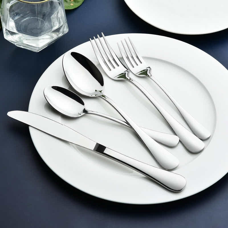 DS BS 20 Pcs Stainless Steel Flatware Set Tableware Set-Sliver