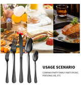 DS BS 20 Pcs Stainless Steel Flatware Set Tableware Set-Black
