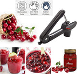 DS BS Multi-Function Fruit Pit Remover Cherry Pitter Tool