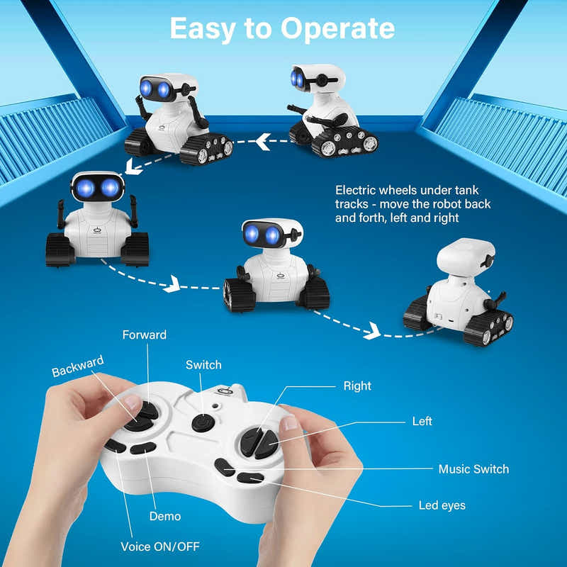 DS BS Rechargeable RC Robot Toys