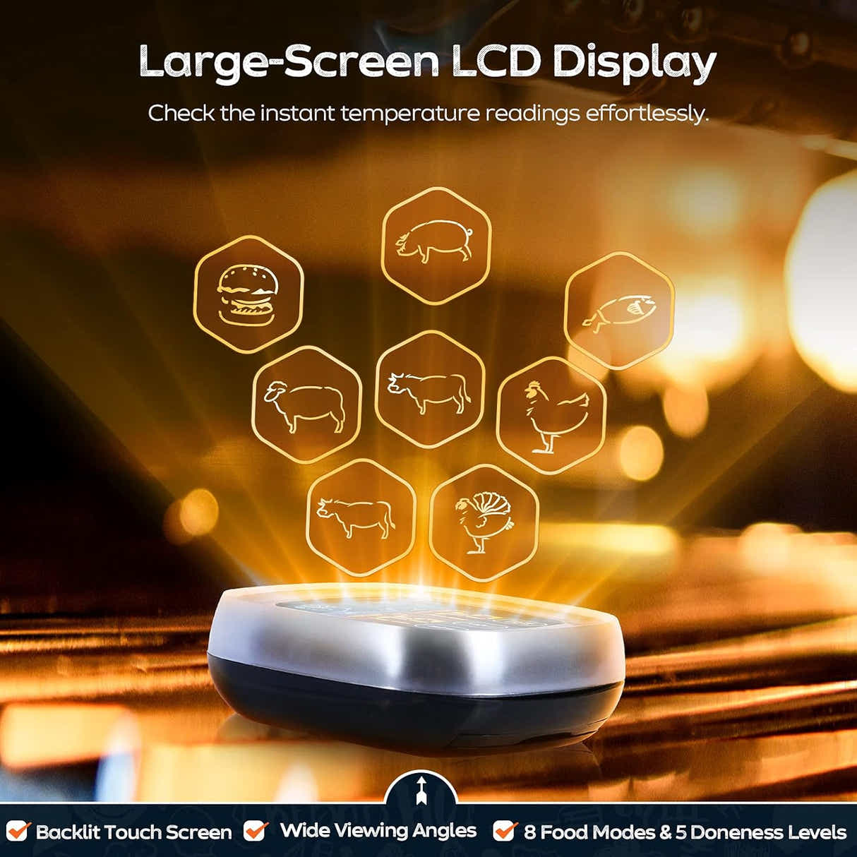 DS BS  Touchscreen Meat Thermometer