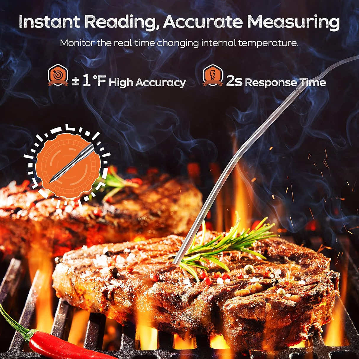 DS BS  Touchscreen Meat Thermometer