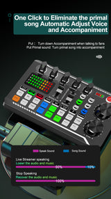 DS BS Professional Audio Mixer