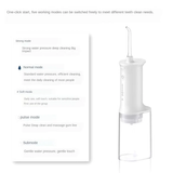 DS BS Portable Oral Irrigator for Teeth with 4 Nozzle
