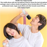 DS BS Portable Mini Karaoke Speaker With 2 Wireless Microphones