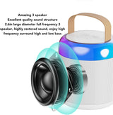 DS BS Portable Mini Karaoke Speaker With 2 Wireless Microphones