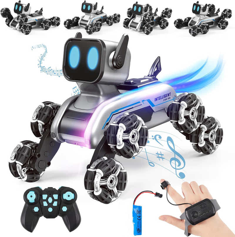 DS BS 8WD Remote Control Robot Dog