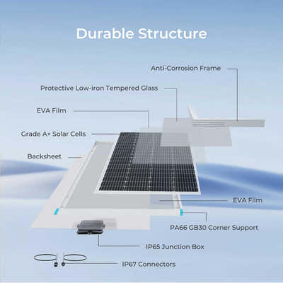 DS BS 30W Monocrystalline Solar Panel