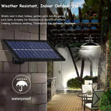 DS BS 2 Head Solar Pendant Light