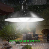 DS BS 2 Head Solar Pendant Light