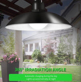 DS BS 2 Head Solar Pendant Light