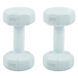 DS BS Set of 2 Dumbbells 1KG Each Pink