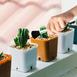 DS BS 3-Piece Stainless Steel Gardening Tool Set
