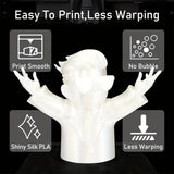 DS BS Silk PLA Filament 1.75mm  1KG for 3D Printer -Black