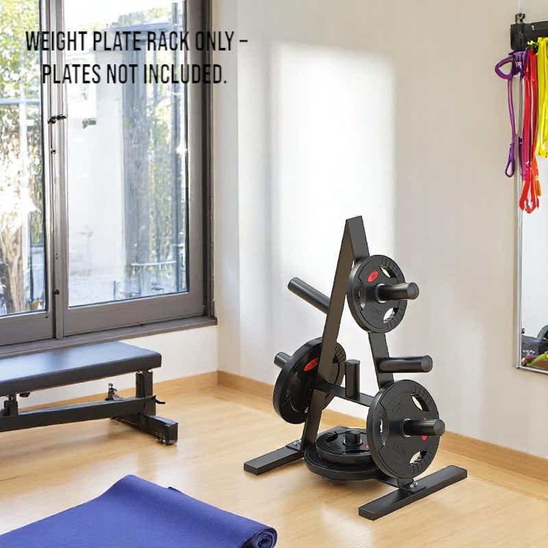 DS BS Heavy Duty Weight Plate Storage Rack Stand