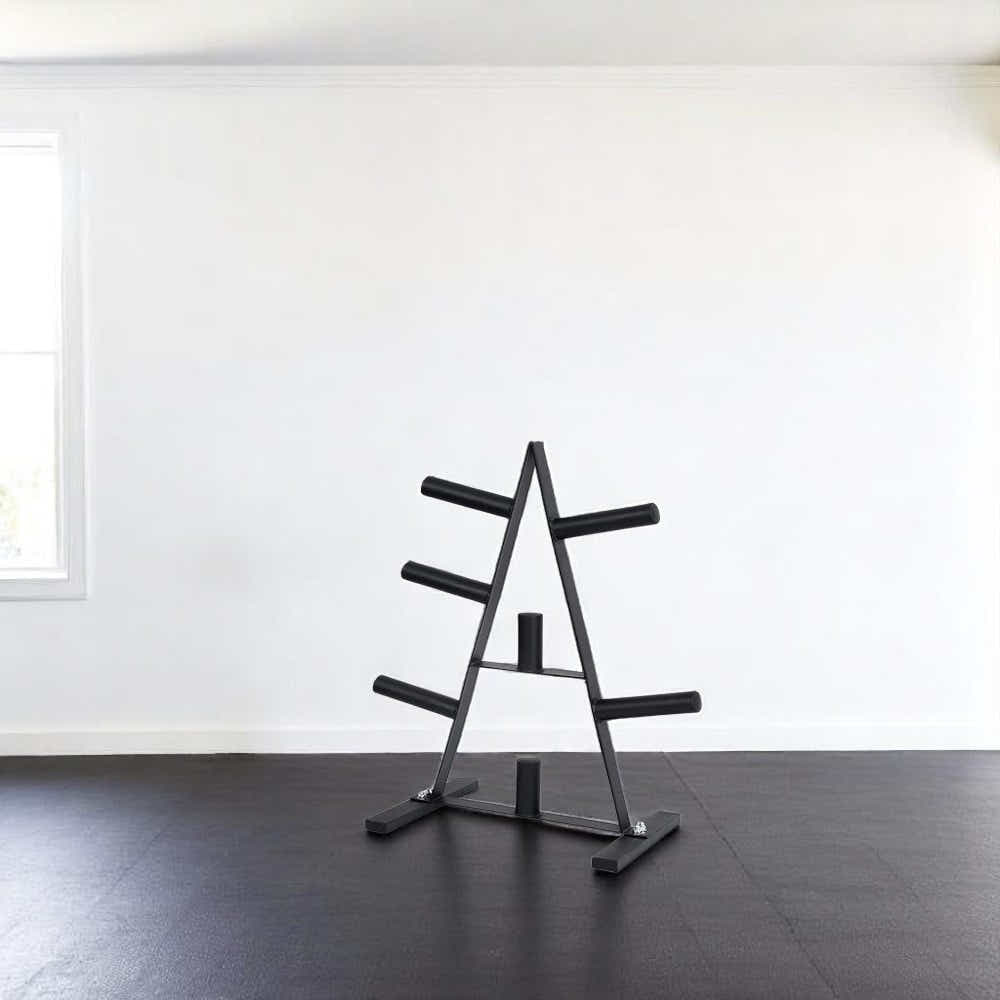 DS BS Heavy Duty Weight Plate Storage Rack Stand