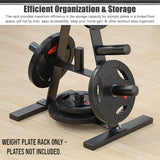 DS BS Heavy Duty Weight Plate Storage Rack Stand