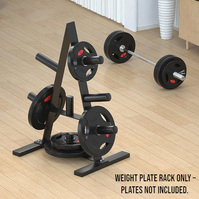 DS BS Heavy Duty Weight Plate Storage Rack Stand