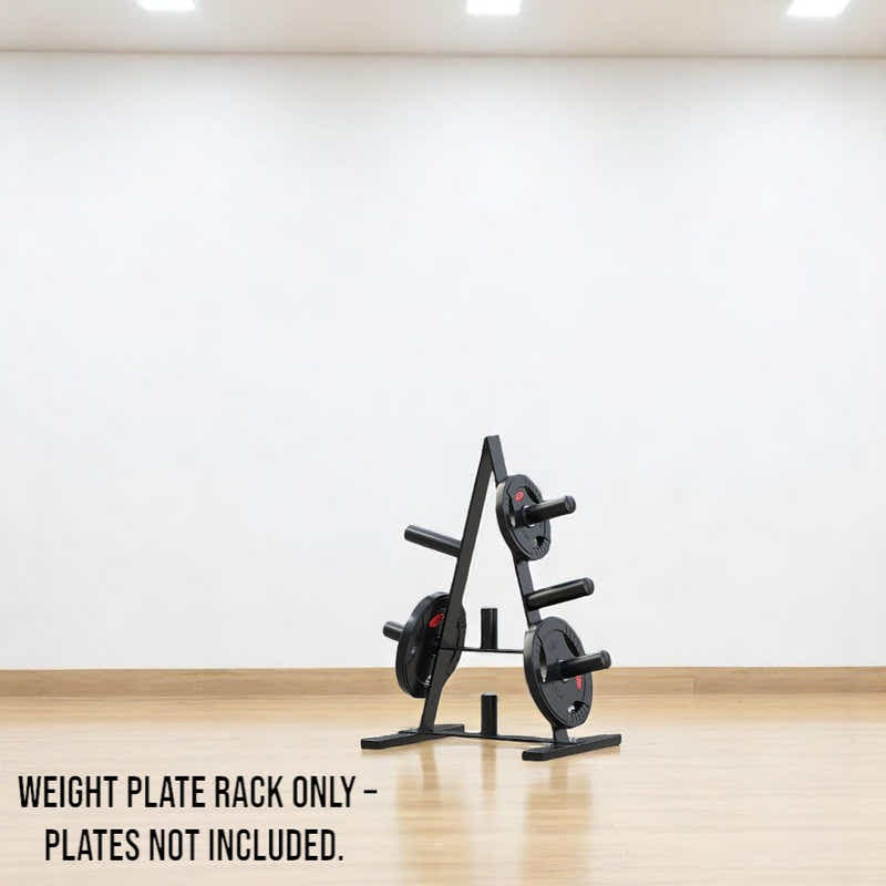 DS BS Heavy Duty Weight Plate Storage Rack Stand