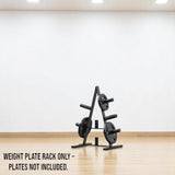 DS BS Heavy Duty Weight Plate Storage Rack Stand