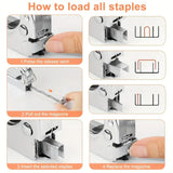 DS BS Staple Gun Kit with 3000 Staples and Remover