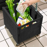 DS BS Foldable Utility Cart with Stair Climbing Wheels - Black