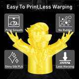 DS BS PLA+ Filament 1.75mm 1KG for 3D Printer - Black