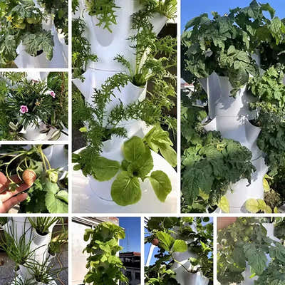 DS BS 7 Layer Vertical Soilless Hydroponic Tower Planter