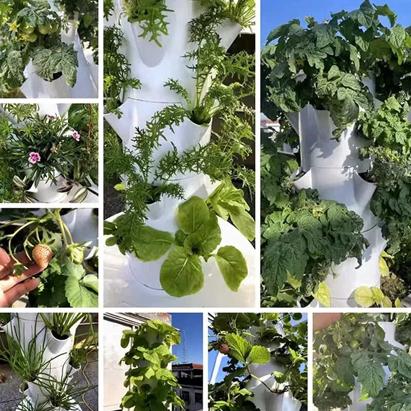 DS BS 5 Layer Vertical Soilless Hydroponic Tower Planter