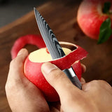 DS BS 6 Piece Kitchen Chef Knife Set
