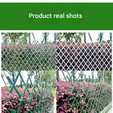 DS BS Expandable Trellis Fence for Climbing Plants