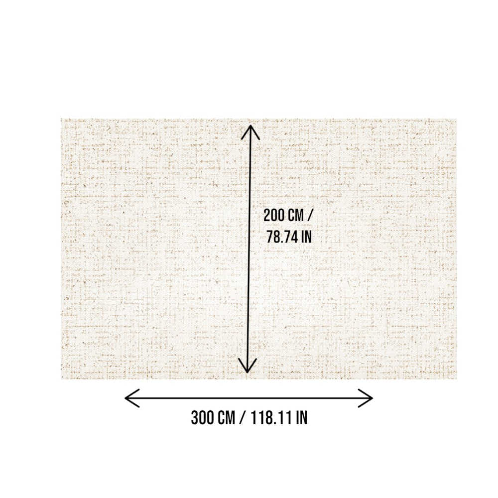 DS BS Area Rug 200x300cm Modern Minimalist Living Room Carpet - Soft Sand Beige