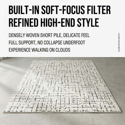 DS BS Area Rug 200x300cm Modern Minimalist Living Room Carpet - Modern Frost