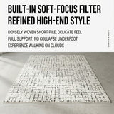 DS BS Area Rug 200x300cm Modern Minimalist Living Room Carpet - Modern Frost