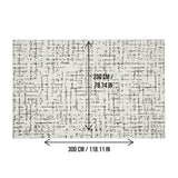 DS BS Area Rug 200x300cm Modern Minimalist Living Room Carpet - Modern Frost