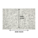 DS BS Area Rug 160x250cm Modern Minimalist Living Room Carpet - Modern Frost