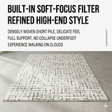 DS BS Area Rug 140x200cm Modern Minimalist Living Room Carpet - Modern Frost