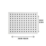 DS BS Area Rug 160x250cm Modern Minimalist Living Room Carpet - Pure White Grid